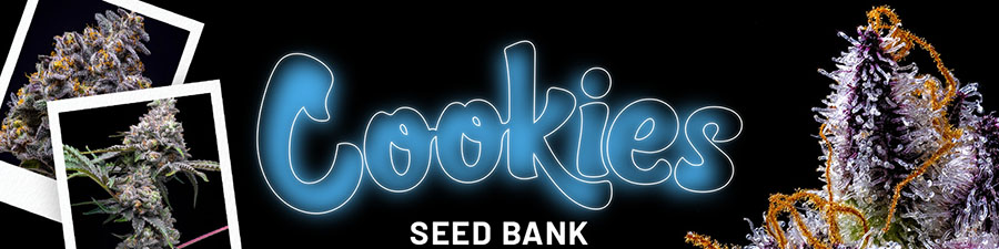 COOKIES SEEDS BANK