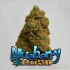 Blueberry Kush CBD