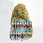 Hard Vibes CBD