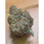 Fillmore Slim PCG