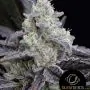 L.A. vanilla cacke