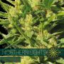 northernlight auto