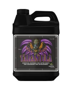 tarantula