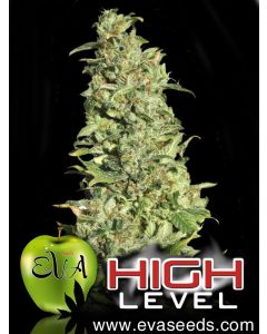 High Level