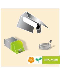 Lighting Kit  HPS AGRO 250W basic