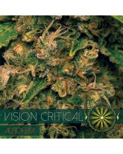 Vision Critical Auto