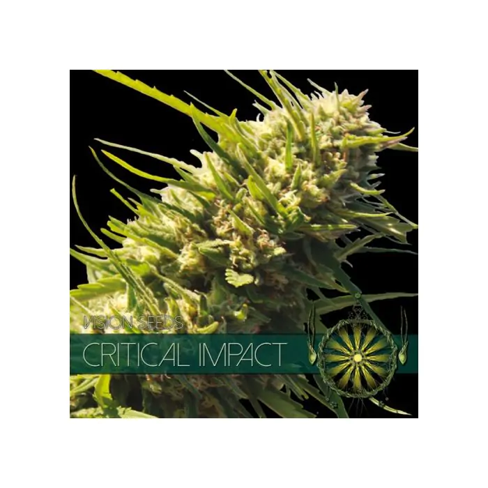 Critical Impact -1