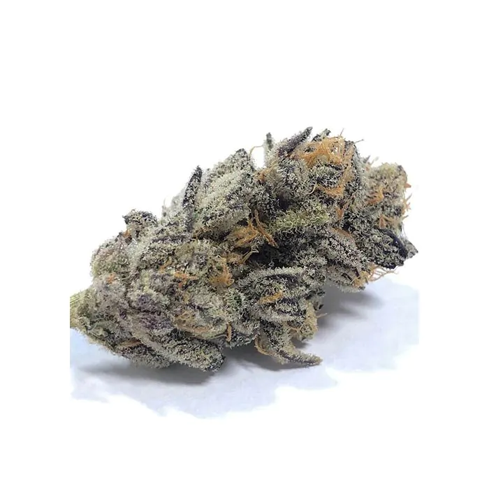 Dosidos x Watermelon Zkittlez