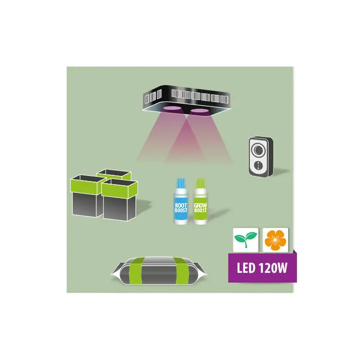 Kit coltivazione indoor lampada led 120w 3 piante Basso consumo