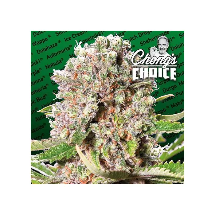 mendocino skunk