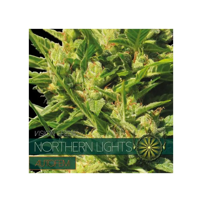 northernlight auto