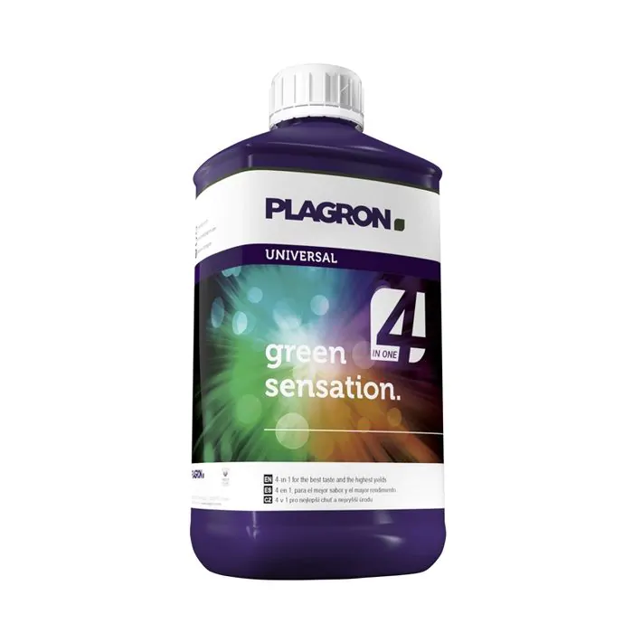 green sensation  plagron
