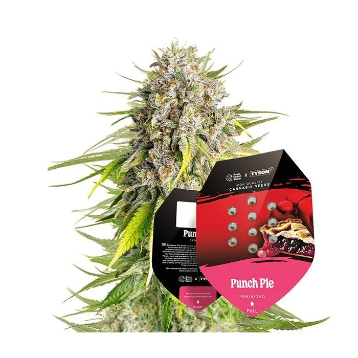 Punch Pie pack