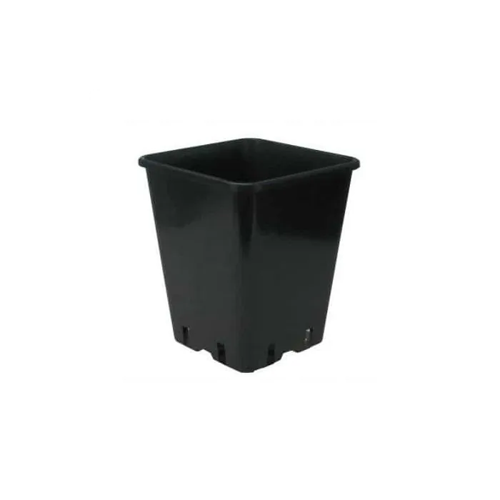 vaso 6l
