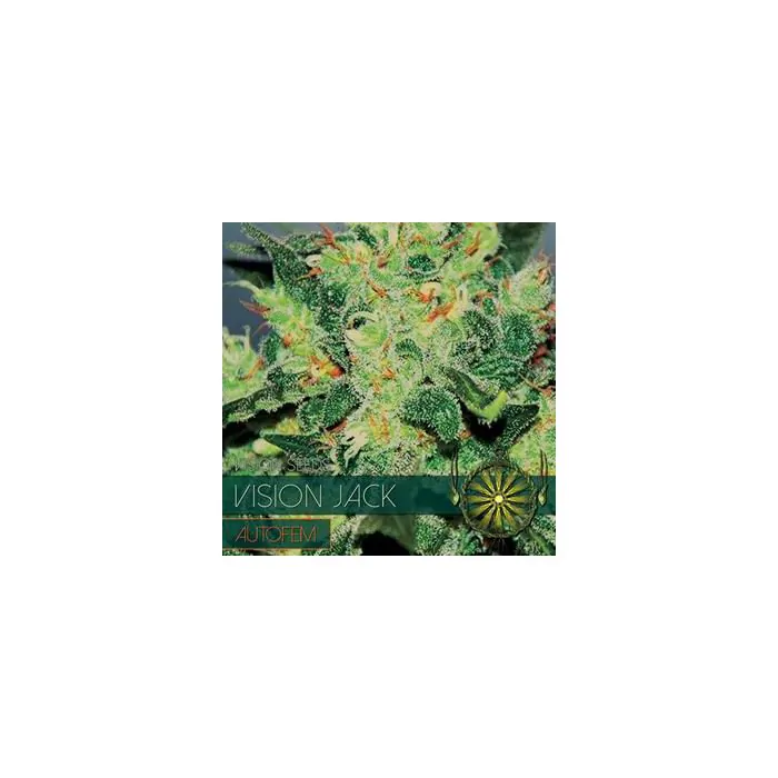 VISION JACK AUTO