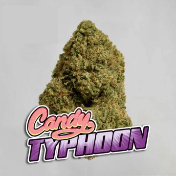 Candy Typhoon CBD