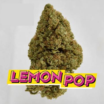 Lemon Pop CBD