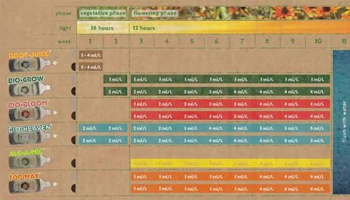 Biobizz growing schedule