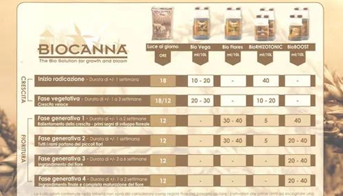 Biocanna growing schedule